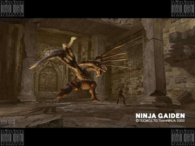 Ninja Gaiden - 001