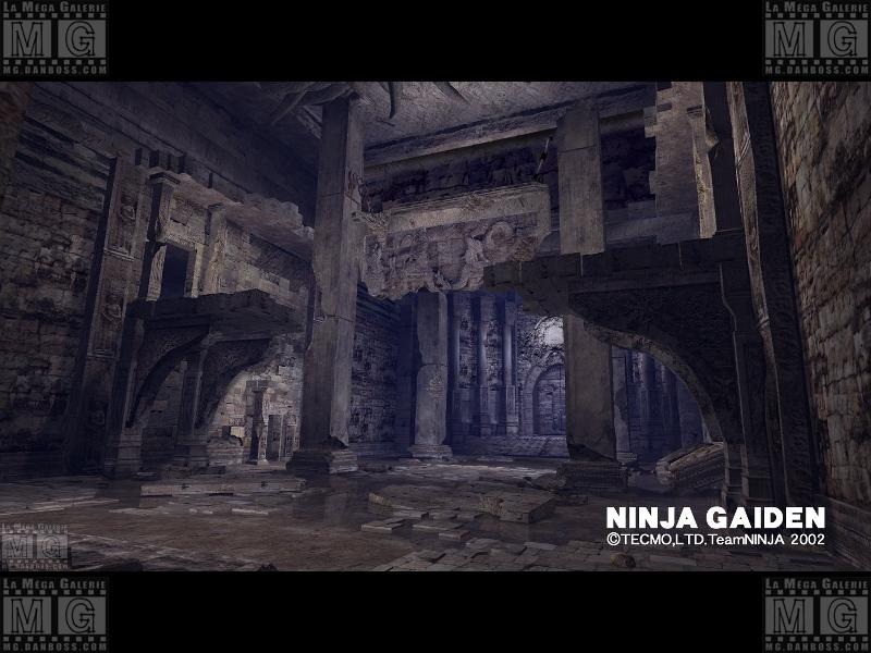 Ninja Gaiden - 004