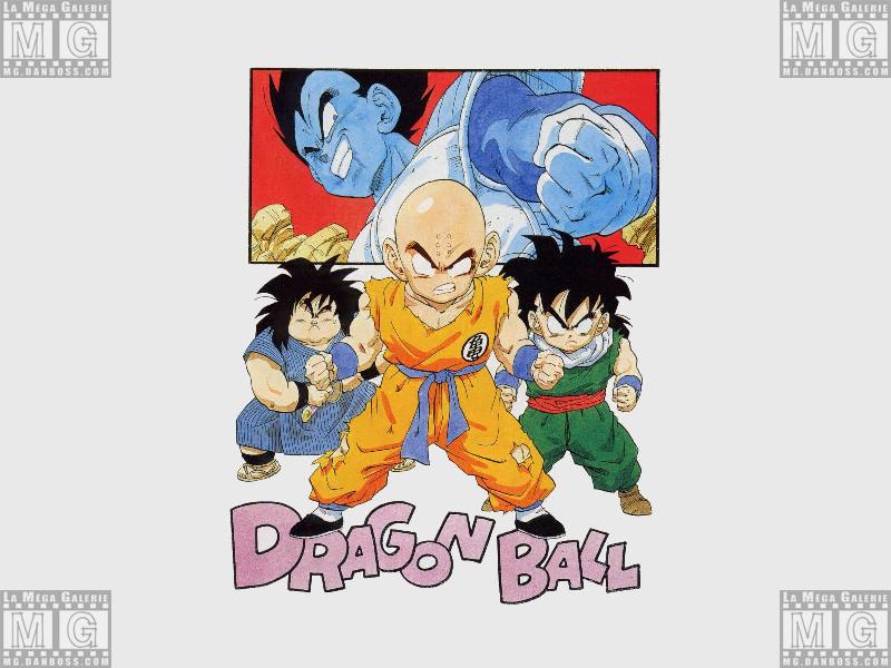 Mangas - Dragon Ball Z - 067
