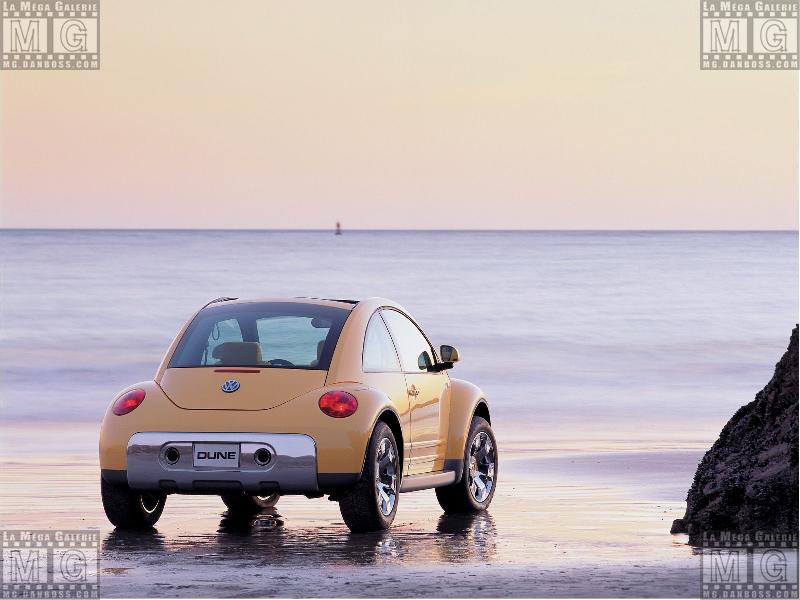 Volkswagen - New Beetle - Dune - 012