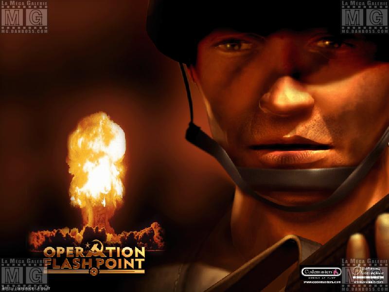 Operation Flashpoint - 02