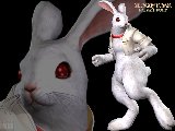Bloody Roar - Primal Fury - 003