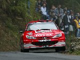 Peugeot - WRC - 029
